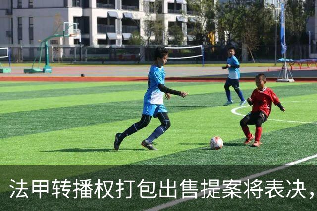 法甲转播权打包出售提案将表决，自营平台年入不足9000万欧